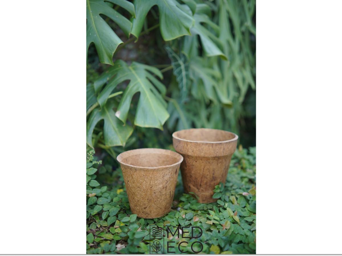 Eco-Friendly Pot