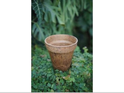 Eco-Friendly Pot